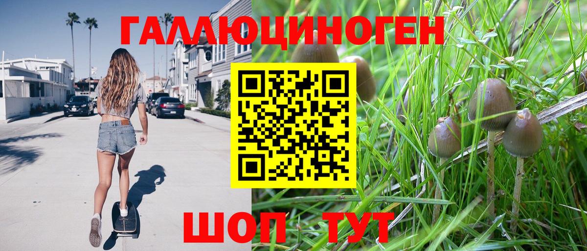 Галлюциногенные грибы Cubensis Лыткарино