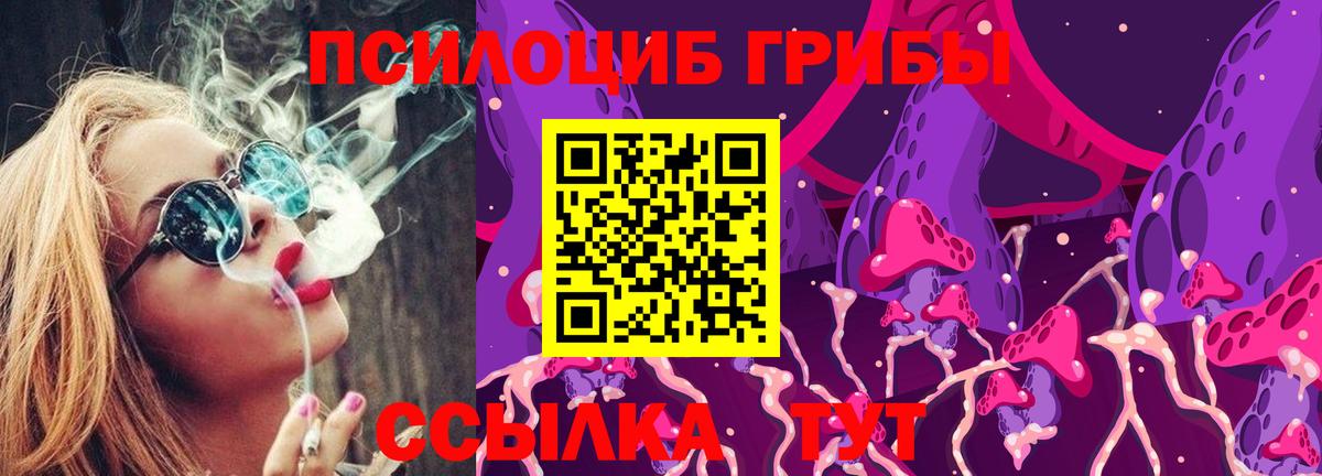 Галлюциногенные грибы Psilocybe  Вход с VPN  Лыткарино 
